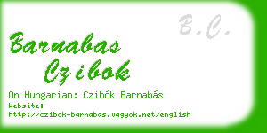 barnabas czibok business card
